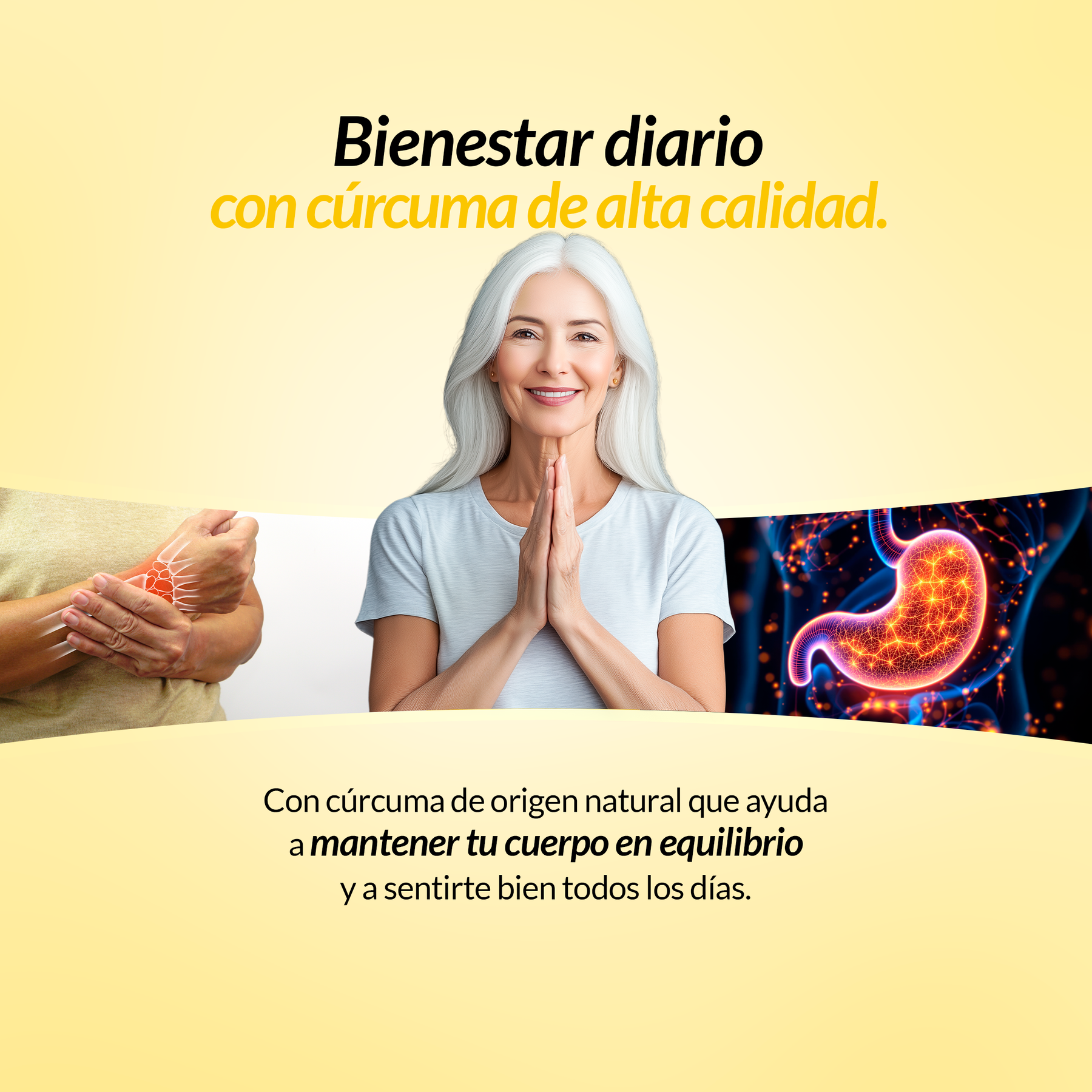 Cúrcuma 300 Tabletas