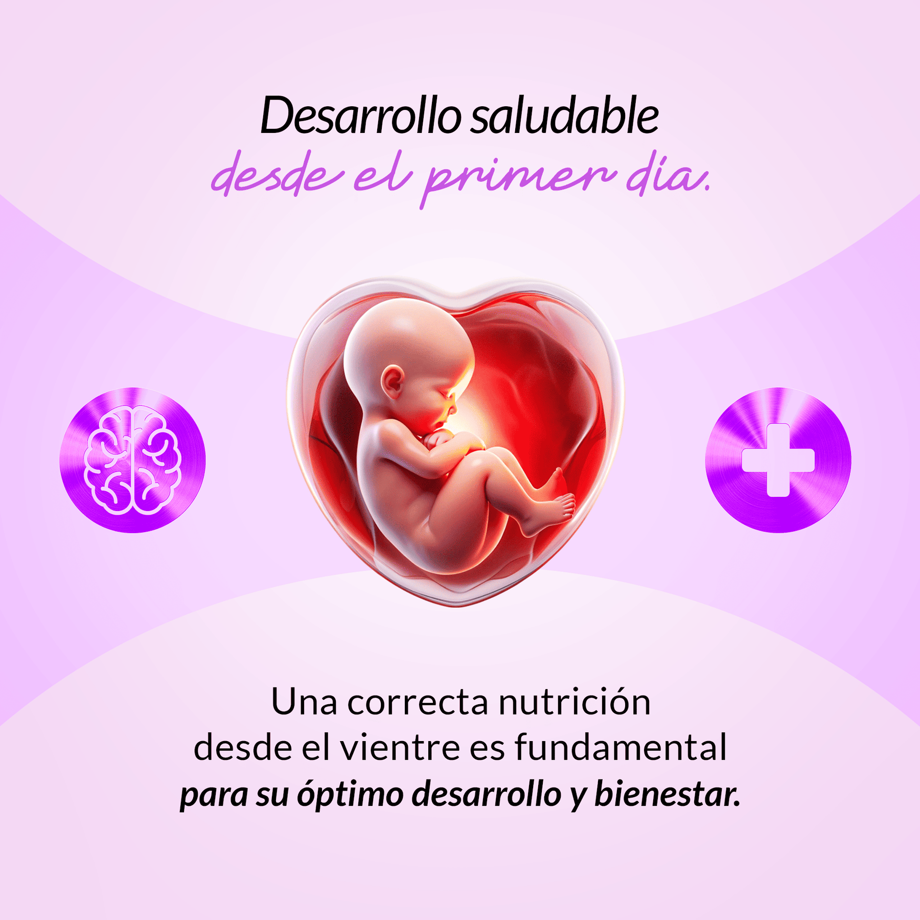 9M Complex 120 tabletas