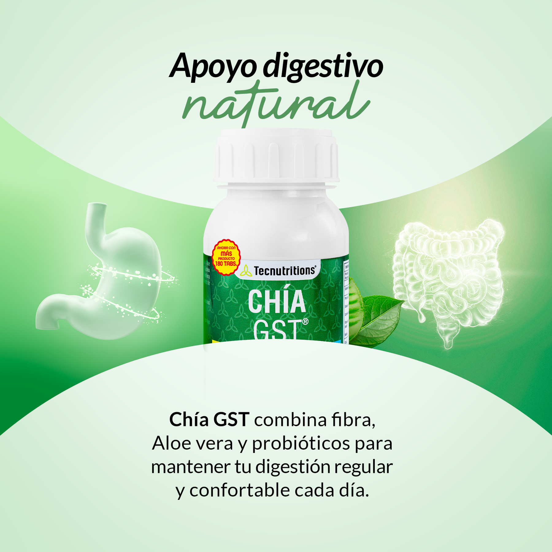 Chía GST 180 Tabletas