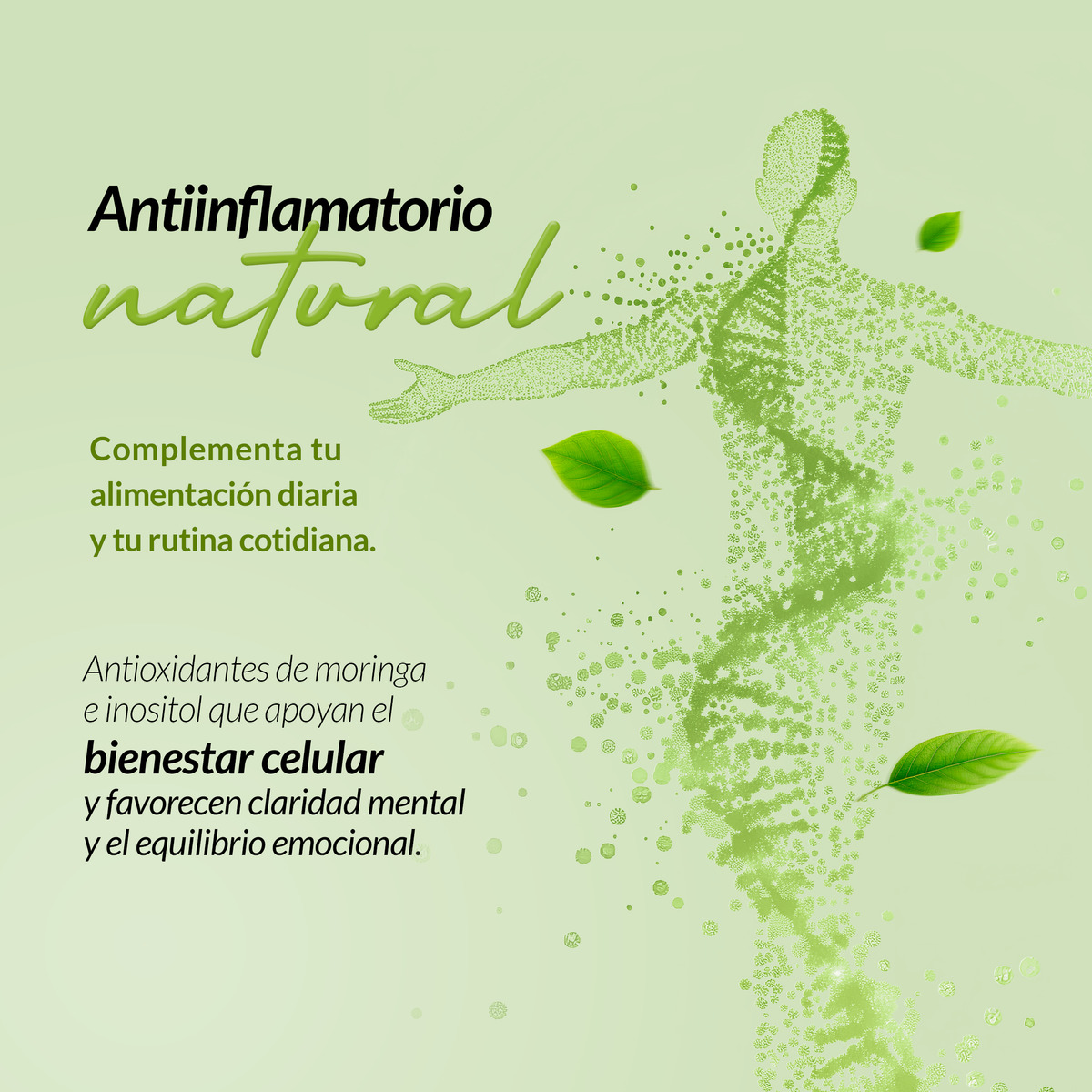 MRY Moringa 90 Tabletas