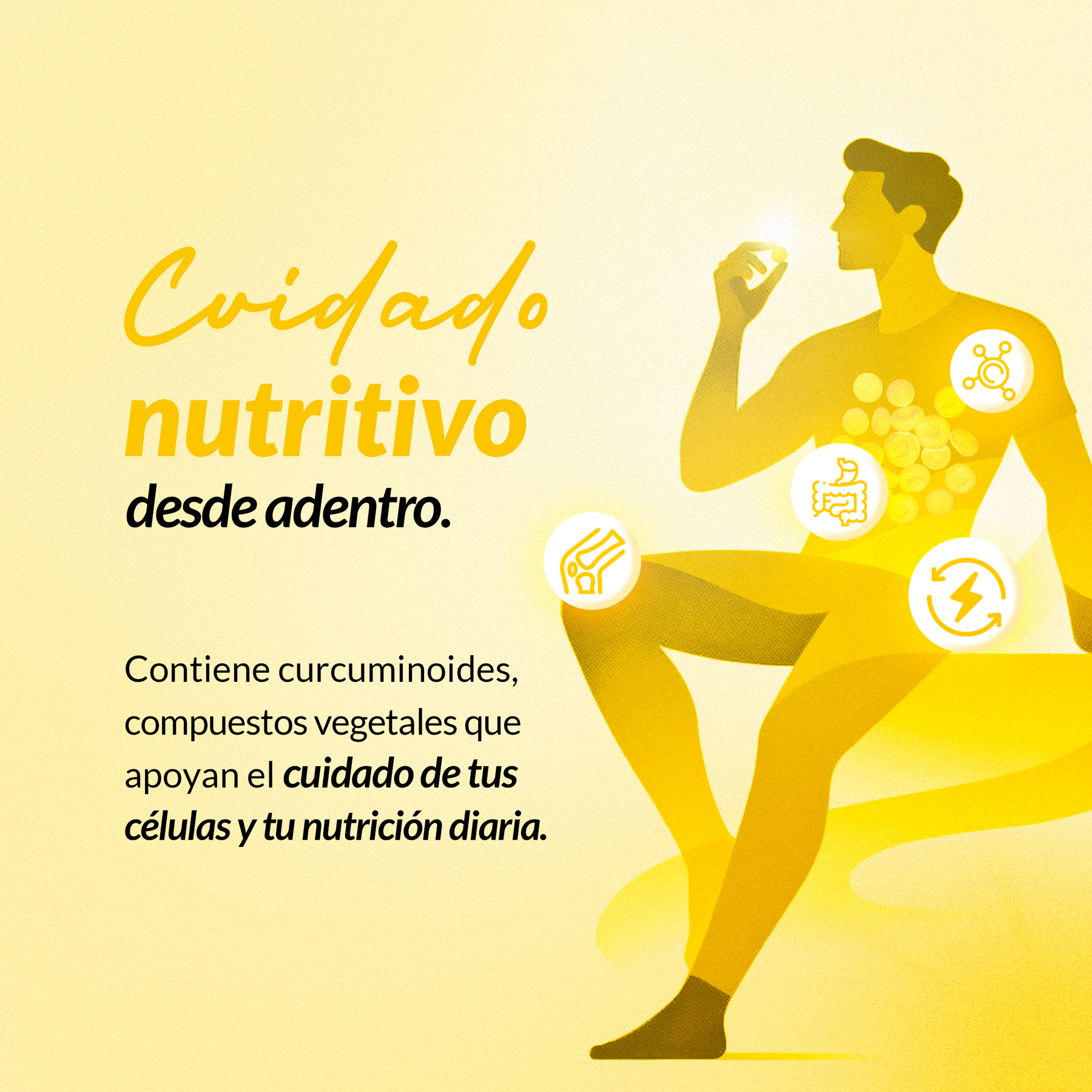 Cúrcuma 300 Tabletas