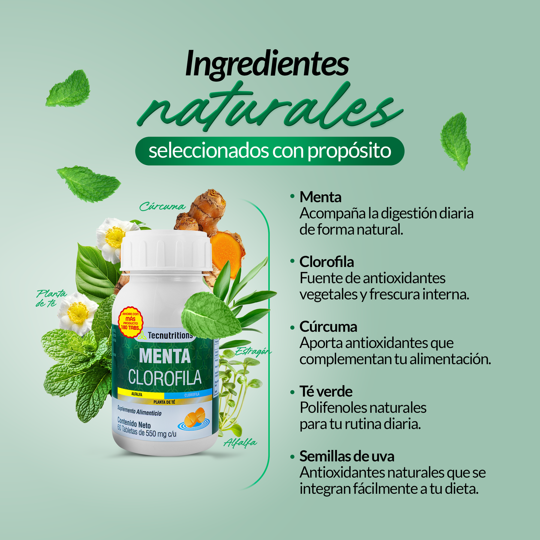 Food supplement with antioxidants and vitamins, Mint Chlorophyll, 60 tabl