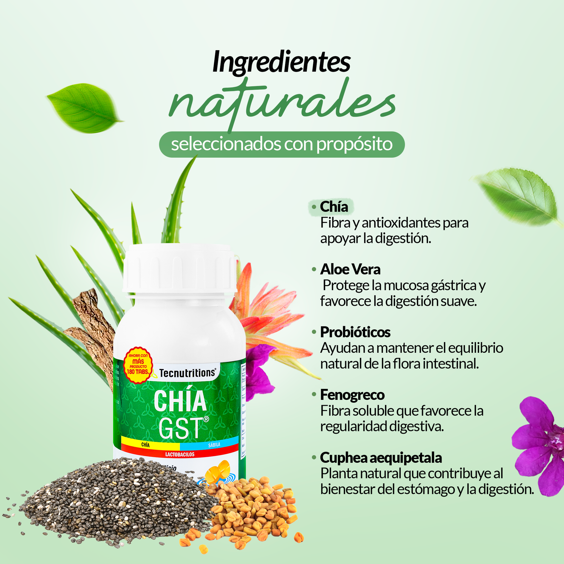 Chía GST 180 Tabletas