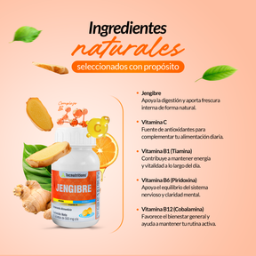 Food supplement with antioxidants and vitamins, Ginger, 60 tabl