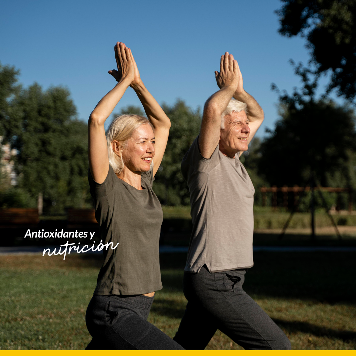 Cúrcuma – Antioxidante y Bienestar Digestivo | Tecnutritions 60 Tabletas