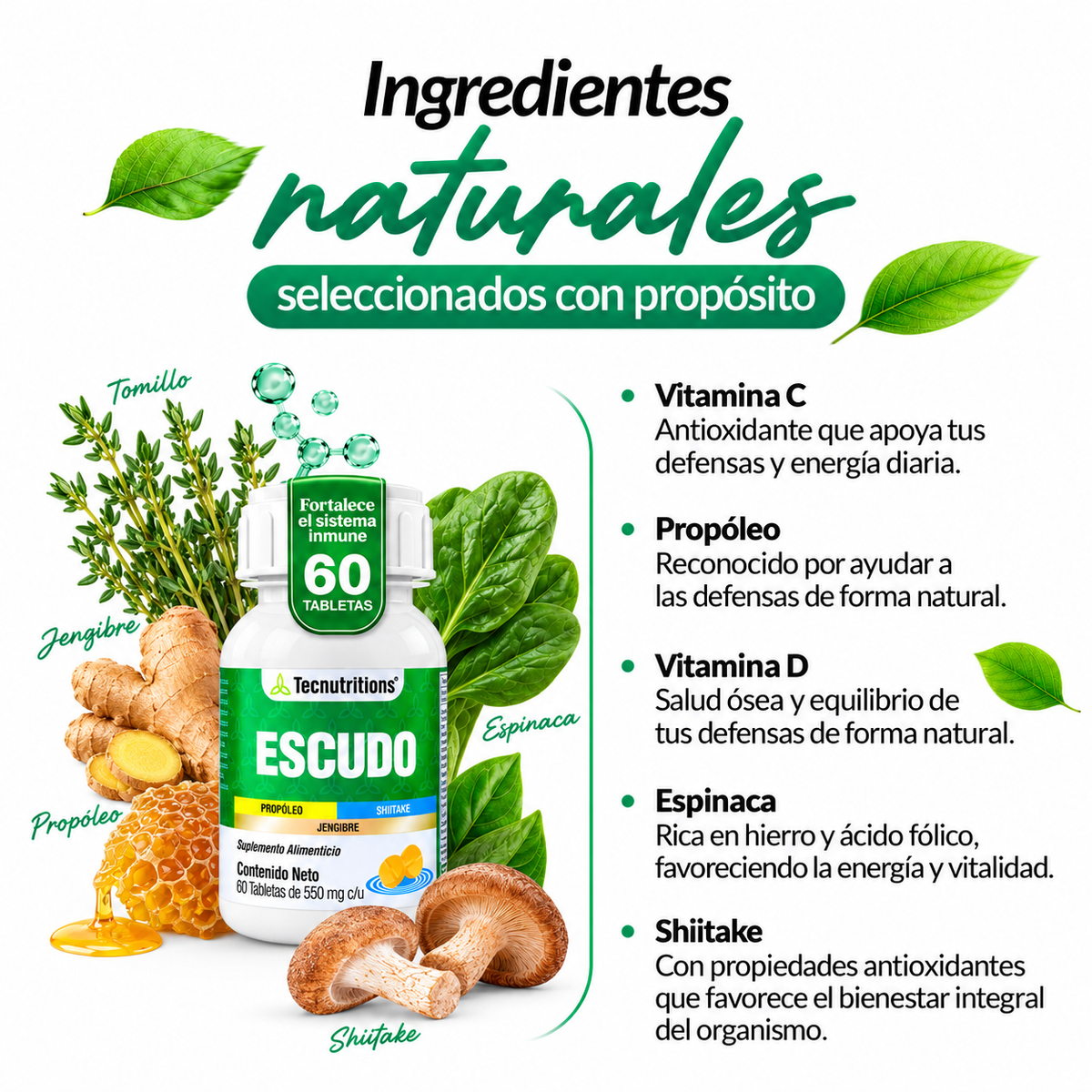Escudo