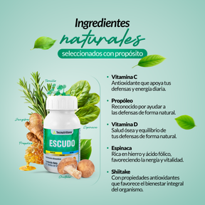 Food supplement with antioxidants, vitamins and minerals, Shield, 60 tabl