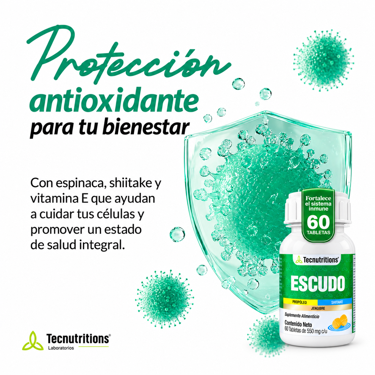 Escudo