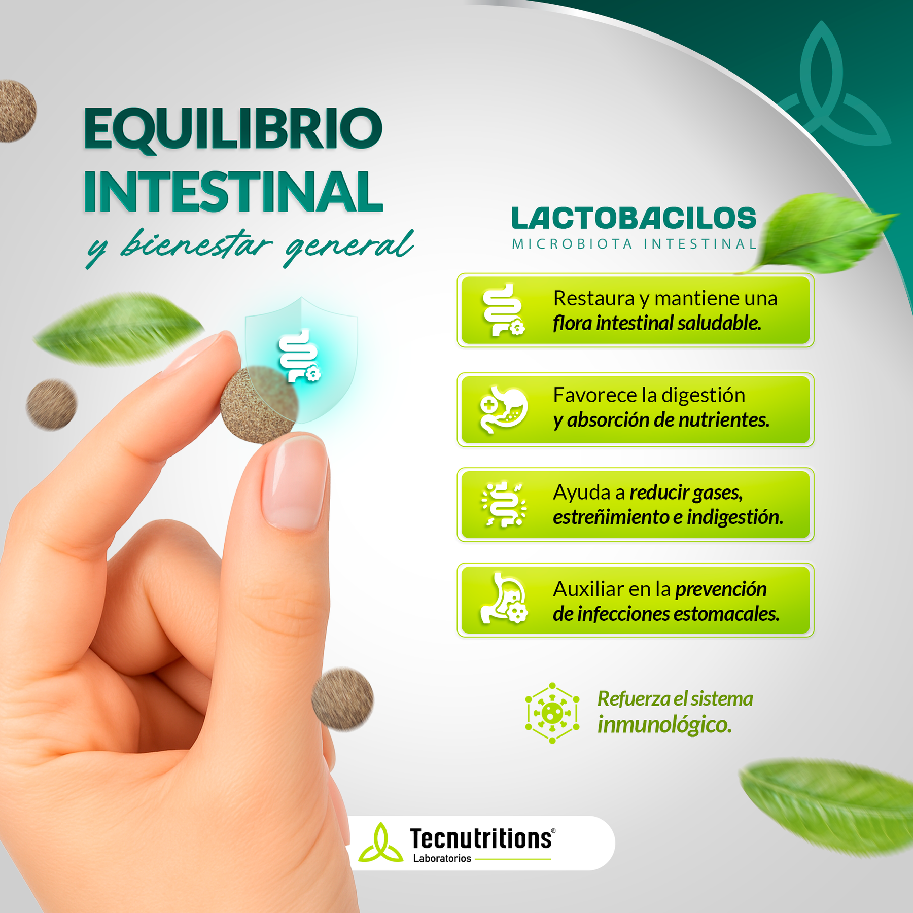 Tableta Granel Lactobacilos Bienestar Intestinal Sist Inmune