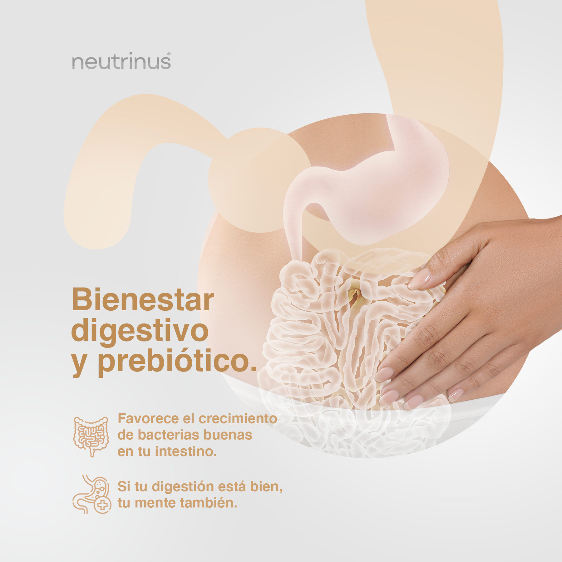 MELENA DE LEÓN TABLETAS NEUTRINUS PLUS