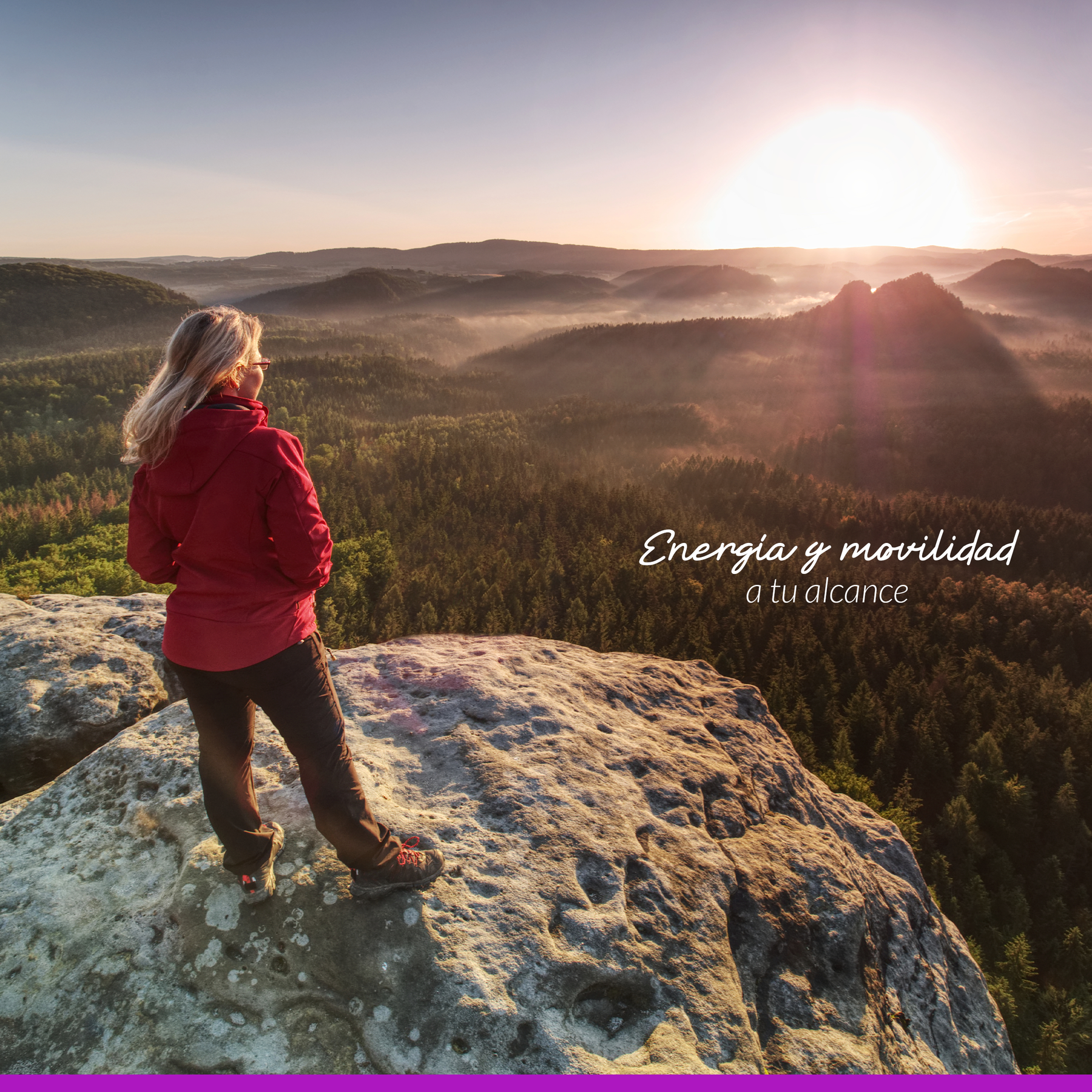 Mix Colágeno y Antioxidantes