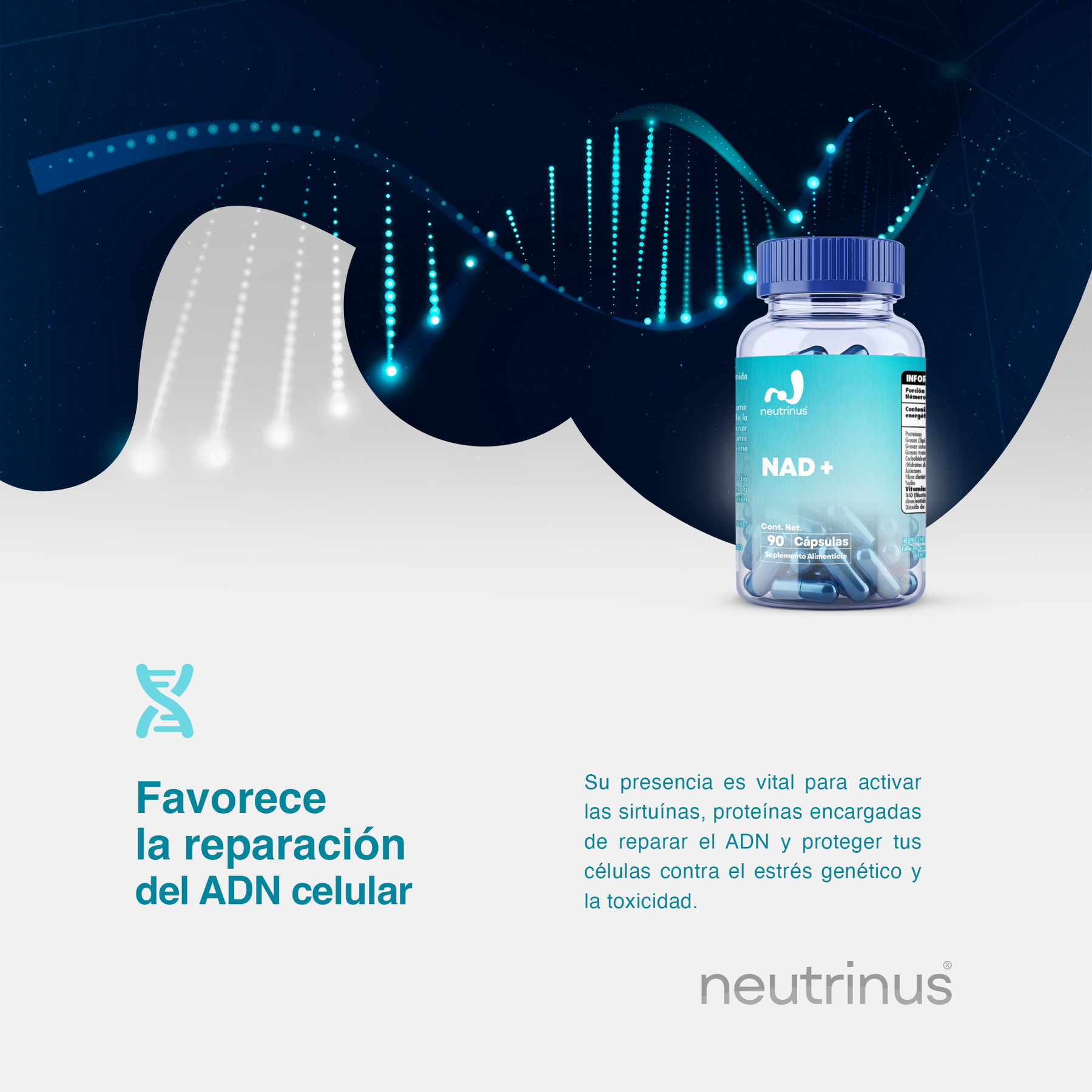 NAD+ – Energía y Longevidad Celular | Neutrinus Plus 90 Cápsulas