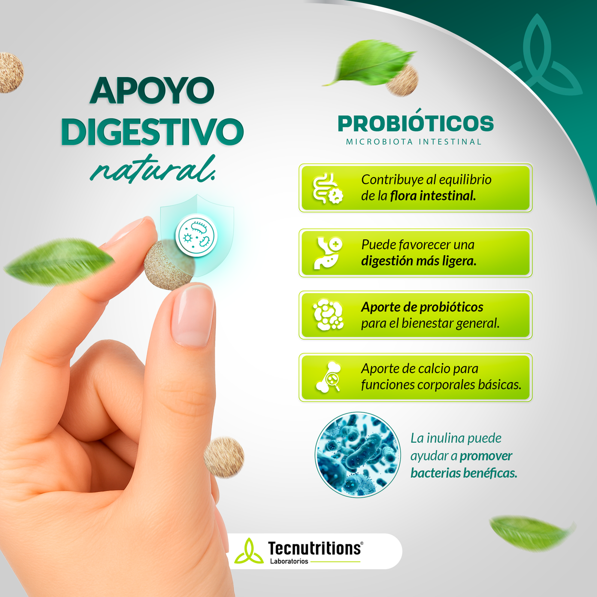 Tableta Granel Probióticos Microbiota Intestinal