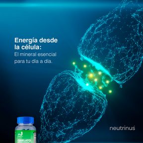 Quelato de Magnesio – Relajación, Estrés y Descanso | Neutrinus Plus 90 Cápsulas