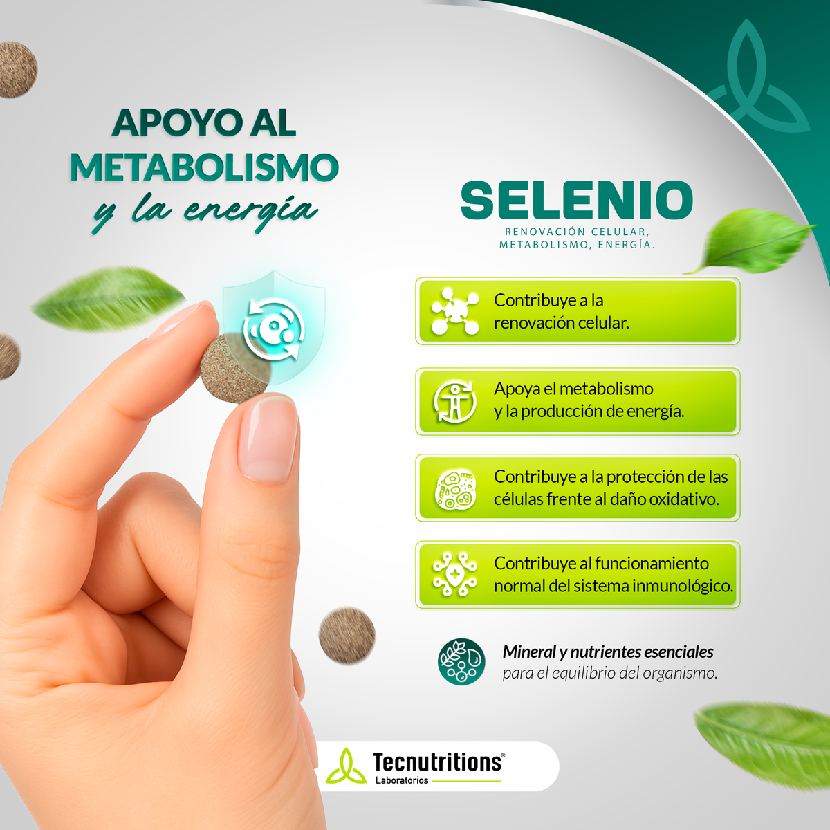 Tableta Granel Selenio Renovación Celular Metabolism Energía