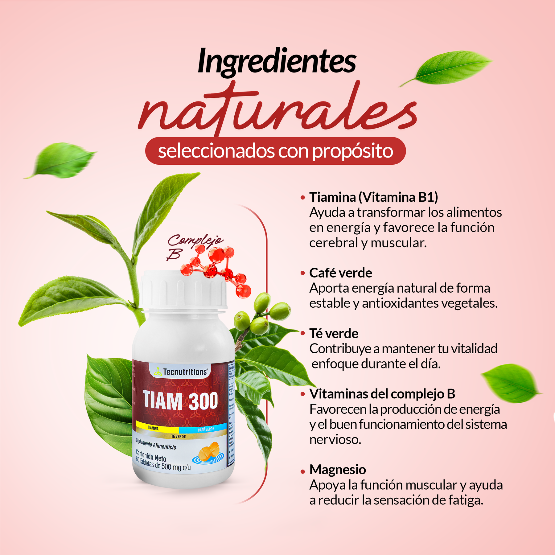 Food supplement with vitamins, minerals and antioxidants, Tiam 300, 60 tabl