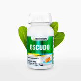 Escudo